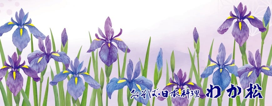 菖蒲